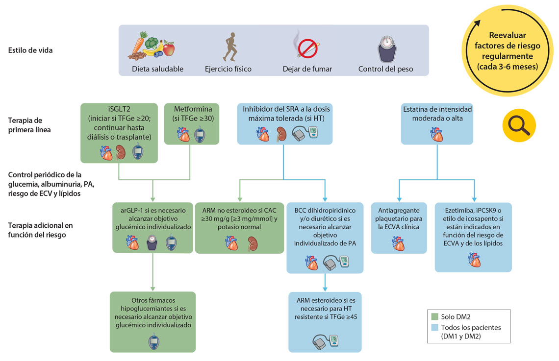 Cardiorrenal.es guías KDIGO 2022